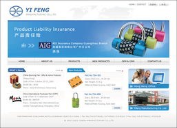 網(wǎng)站設(shè)計(jì)與軟件開發(fā) 雙翼齊飛，共創(chuàng)數(shù)字未來